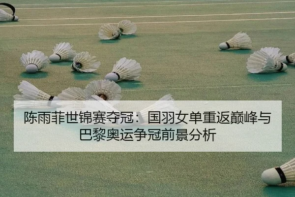 chen-yu-fei-shi-jin-sai-duo-guan-guo-yu-nv-dan-chong-fan-dian-feng-yu-ba-li-ao-yun-zheng-guan-qian-jing-fen-xi-2-334.jpg